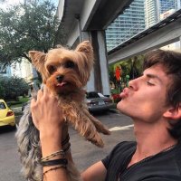 𝐜𝐡𝐥𝐨𝐞 (@sxshaaa) 's Twitter Profile Photo