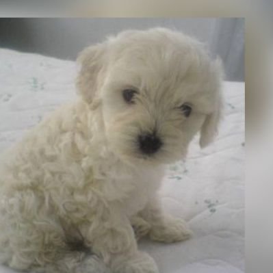 kikosys's profile picture. 