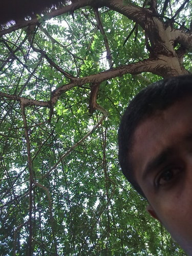 I am not the best.....but once I will achieve it........