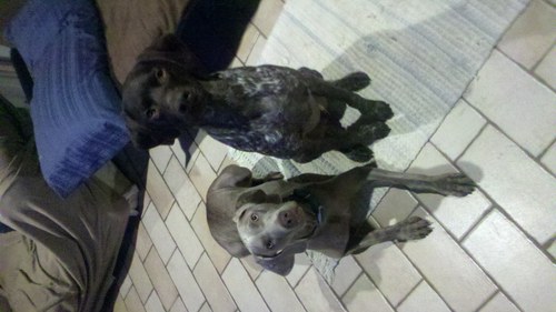 erin7sc's profile picture. 