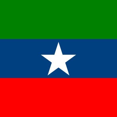 Political analyst detailing human rights violations and crimes against Ogadenis by Ethiopia and any other third parties.