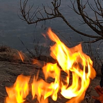 omibuddyy's profile picture. 