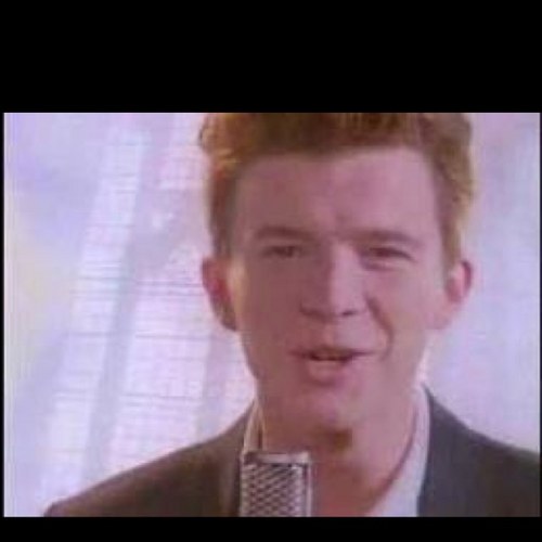 tektongue's profile picture. 