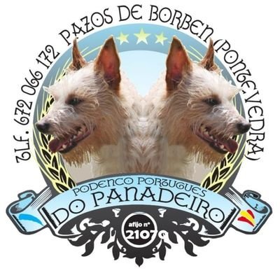 Podencos Portugueses