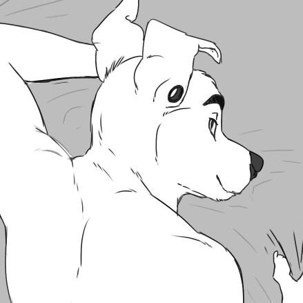 Teikeloso's profile picture. 