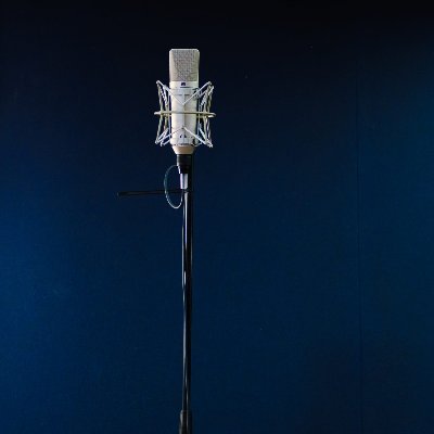Film and television scores, bands and solo artists, video game music, spoken word, podcasts, and radio dramas