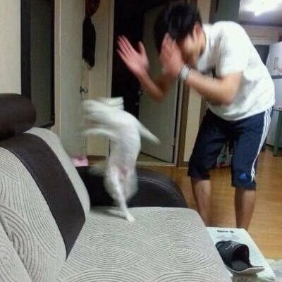 soccerlove_oo's profile picture. 