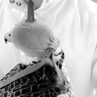 ᴀ. (@lsalamal) 's Twitter Profile