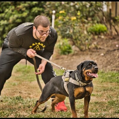 Katz K9 is a K9 training business serving the Seattle/Tacoma area and regions surrounding. Our goal is to help you meet the expectations you have for your dog