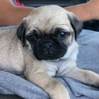 James Pound (@jamespound15) 's Twitter Profile