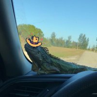 Gerardo. (@sir_wagglington) 's Twitter Profile