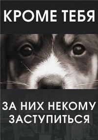 HOPE_FEST's profile picture. HOPE FEST - это совместный проект ростовских музыкантов и сообщества энтузиастов помощи бездомным животным Добрые руки