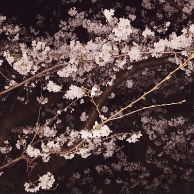 暁華【きょうか】さんのプロフィール画像