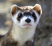 josephmpotter's profile picture. I am a libertarian and hope to live long enough to see the American public realize that the government is not your friend.