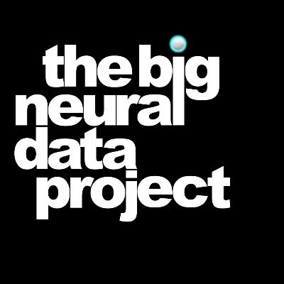 BigNeural's profile picture. big on mental health, big on science, big on data;