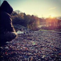 Carpy.steve13 (@carpysteve13) 's Twitter Profile