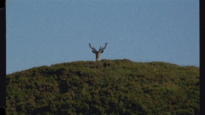 joshuabonnetta's profile picture. artist/filmmaker