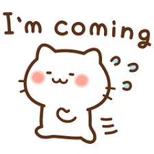 EdiFoxer's profile picture. Just a cat