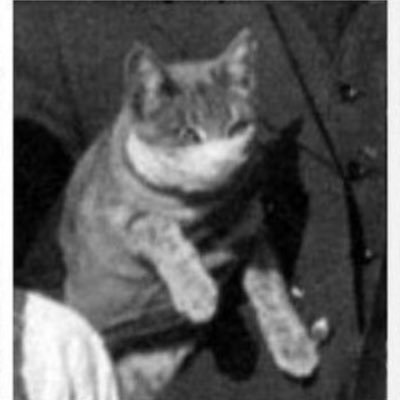 spennyjunks's profile picture. 