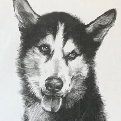 Custom Dog Drawings since 2000! Order yours now on our website or DM us or email icharcoalportrait@gmail.com