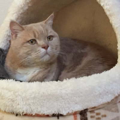 na_bcd's profile picture. 🤔