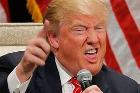 luhu99623450's profile picture. old grouchy liberal