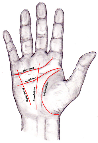 Lesen lebenslinie hand Lebenslinie: Was