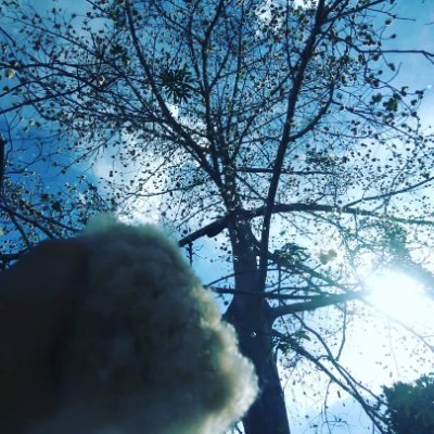 DleoDylan's profile picture. It's perfect