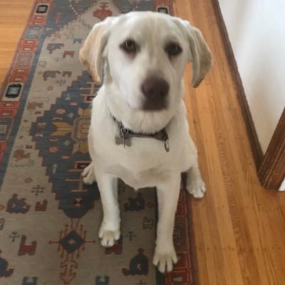 Profile Picture of Keith Knudsen (@KeithKnudsen) on Twitter