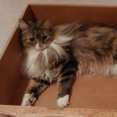 Bananarama9's profile picture. 