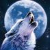 muna78589513 (@muna785895131) Twitter profile photo muna78589513 (@muna785895131) Twitter profile photo