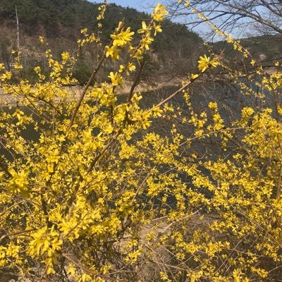 vwvwvwvwwv's profile picture. 