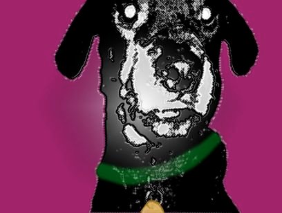 ReggieD23's profile picture. teacher, animal lover, fashion girl, Nebraska huskers fan, Chicago dweller