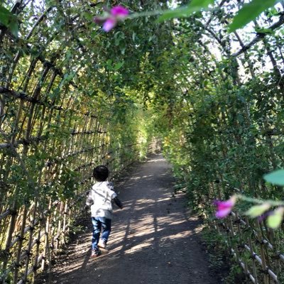 EmiHtr's profile picture. 