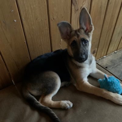 HillsLeighann's profile picture. 