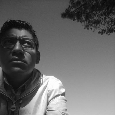 alainbecu's profile picture. Artista pueblerino.
Comunero contemporáneo.
Zapoteco serrano.

Lo aquí escrito es a título personal.
Instagram: alain_arian