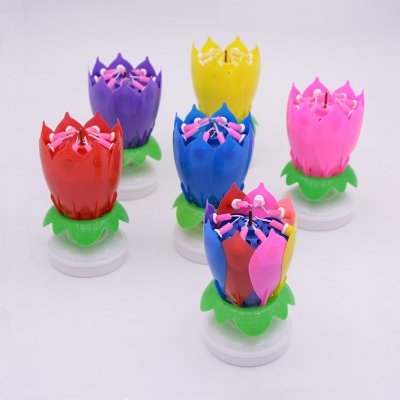 ElainaL91775546's profile picture. I love interational trade!
Therefore,i devoted myself to the feild of internation trade without hesitation when graduated from the major of Internation Trade.
I