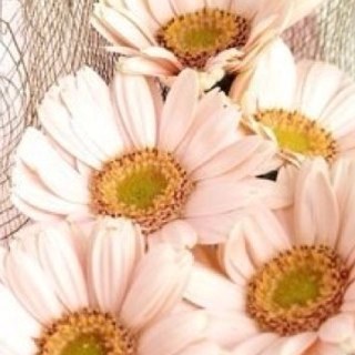 q8ia_111's profile picture. 