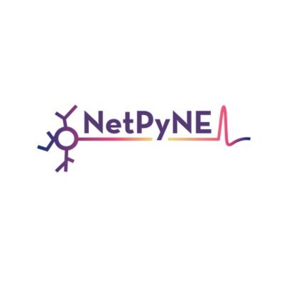 NetPyNE