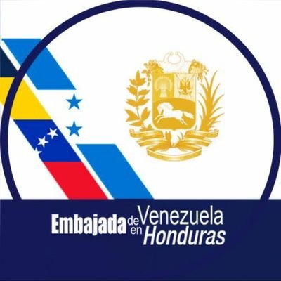 Cuenta oficial de la Misión Diplomática del gobierno legítimo de Venezuela en Honduras designada por el Presidente(E) @juaido. Embajador @claudiopedia