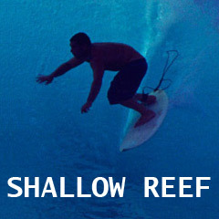 Cormac O'Loughlin - Passion for Surfing and owner of Shallow Reef Surfboards, check out my website