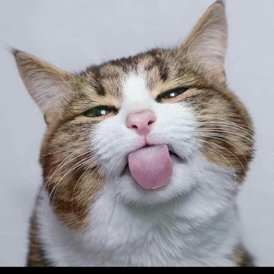 BuHSFwB9j4cWLXe's profile picture. รับงานอย่างเดวค่ะ