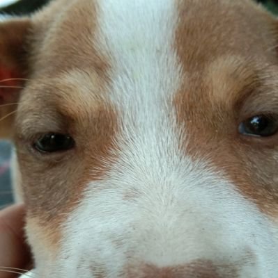 ytr_seewd's profile picture. Manusia yang tak luput dari dosa