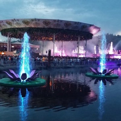 didis03842389's profile picture. 