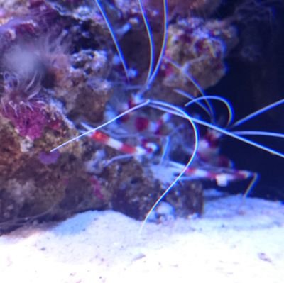 wGfJcolaFlgUFzM's profile picture. GLHF