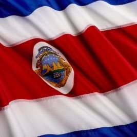 Un tico preocupado