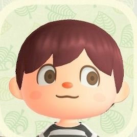 toogether_acnh's profile picture. Resident Rep. of Toogether Island!