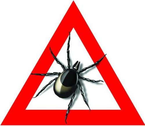 DocFry_GC's profile picture. Geocaching, Poker, Boote, Yachten, Segeln, Motorboot, Essen, Schlafen