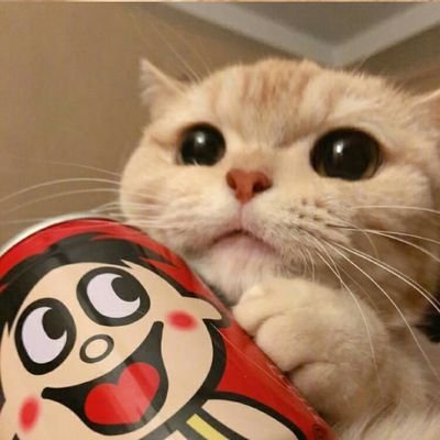 iceさんのプロフィール画像