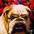 闘犬ブルのアイコン